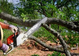 Best Commercial Tree Services  in Three Rivers, MI